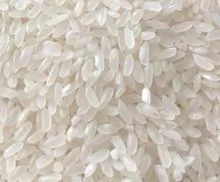 Medium camolino rice