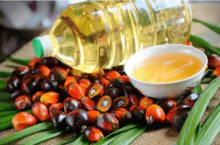 棕榈油