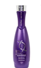 用于有色处理的神经根皮质黑色素组合物