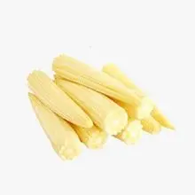 工业级和动物饲料级黄玉米的描述