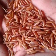 糙米——麸皮完整全谷物，低GI营养品，德班FOB。