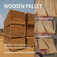 我们有用于出口的木材，包括锯材和原木。