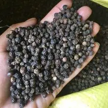 顶级新鲜黑胡椒