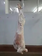 羊肉