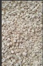 玻利维亚白玉米