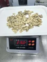 Canned mushroom/ canned champignon