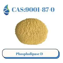 磷脂酶D