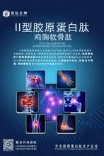 II型胶原蛋白肽（天然硫酸软骨素）