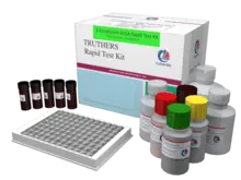 β-伴大豆球蛋白快速检测试剂盒