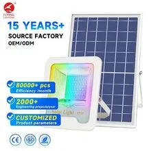 IP65防水铝制外壳LED太阳能投光灯