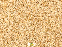 天然芝麻 - 巴西来源