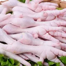 超级促销冷冻鸡爪，洁净、新鲜且安全的产品，面向国际食品市场买家