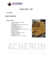 2级（动物食用）和1级（人类食用）全谷物玉米，Cif Puerto De Nueva Palmira / 每队散装