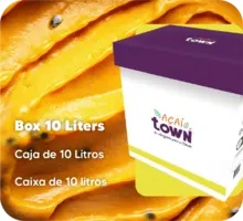 百香果冰沙 - 10升盒