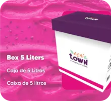 火龙果冰沙与百香果 - 5升装