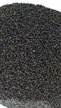 巴西黑胡椒颗粒，ASTA 580/600 GL，B1 560 GL，B2 500 GL，FOB 维多利亚