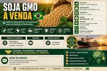 imagem dos produtos