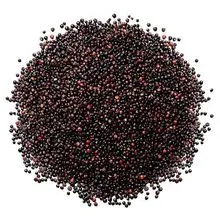 黑藜麦——富含花青素、质朴的高品质FOB 德班 SA