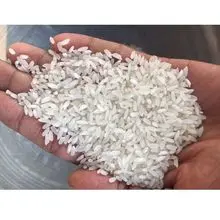 短粒白米——高淀粉素寿司级，FOB 德班