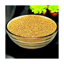 黄芥末籽——35%油，调味品级 FOB，德班 SA