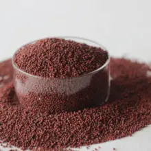 指小米（Ragi）——最高钙谷物，德班 SA 无麸质