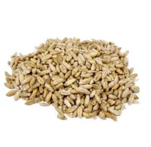 Triticale——高赖氨酸小麦-黑麦杂交品种，12%蛋白，FOB 德班