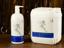 Dermoclean 洗发水