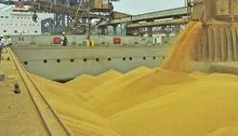 imagem dos produtos
