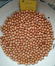 imagem dos produtos