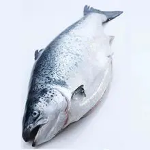 超促销 三文鱼 鲜鲜 浓郁 海鲜 供寿司及出口市场