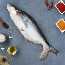 超级优惠 Pangasius 鱼鲜嫩美味海鲜，服务于酒店、餐厅及食品行业