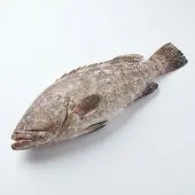 高品质海鲜，适合烧烤、油炸和烹饪