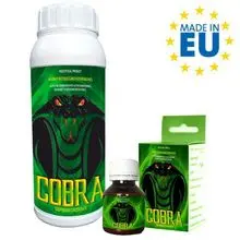 imagem dos produtos