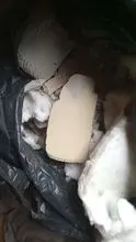 石油和汽油