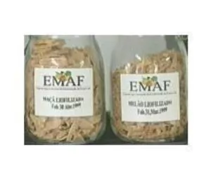 冷冻干燥的食品