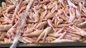 鸡腿和鸡爪（鸟） 