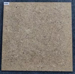 普拉蒂娜维特里化瓷砖