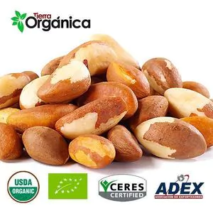 有机核桃 / 常规的巴西