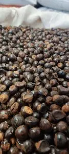 烤豆中的 GUARANA 