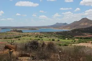 肉、肉、麦片和食品。