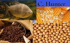 商品购销的中介。