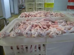 鸡爪, 腿, 其他
