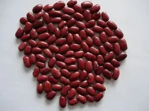 豆子, 豌豆, 扁豆, 种子