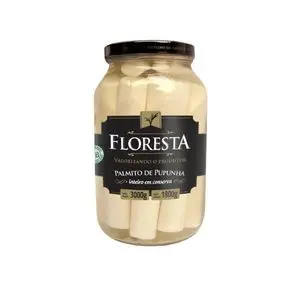 全桃棕榈心 （TOLETE） 森林 1.8 公斤。