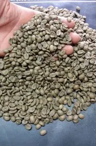 里约米纳斯咖啡17/18