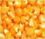 Pipomix-玉米玉米粥