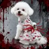 Imagem 4