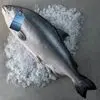 Imagem 4